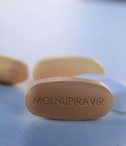 Giá bán thuốc Molnupiravir điều trị COVID-19 vừa được Bộ Y tế cấp phép thế nào; Sử dụng ra sao?