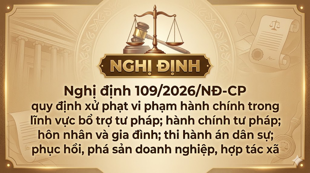Chính phủ ban hành Nghị định quy định xử phạt vi phạm hành chính trong lĩnh vực bổ trợ tư pháp; hành chính tư pháp; hôn nhân và gia đình; thi hành án dân sự; phục hồi, phá sản doanh nghiệp, hợp tác xã.